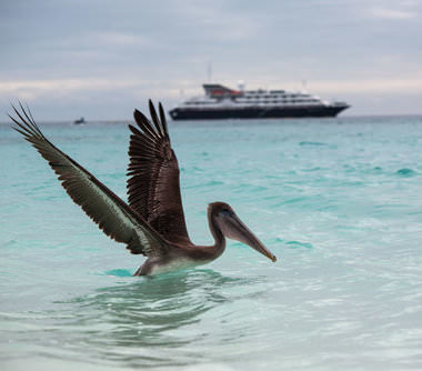 Expeditiecruises met Silver Galapagos van rederij Silversea Cruises