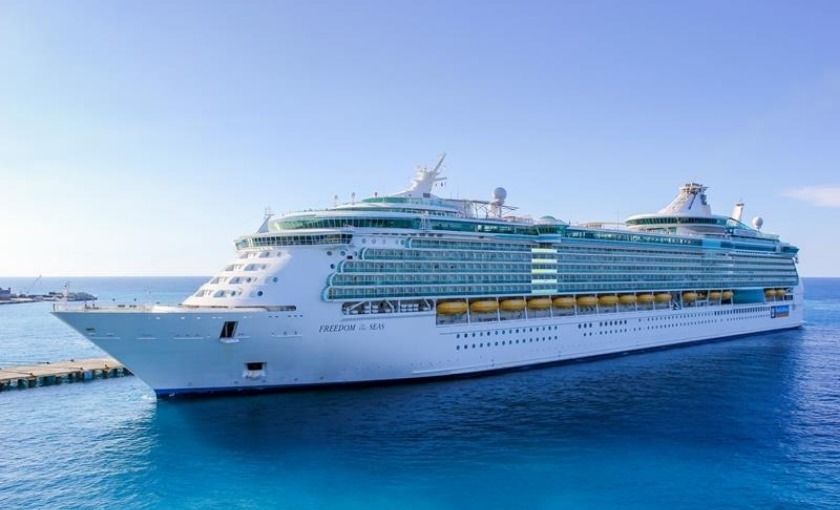 Het volledige schip de Freedom of the Seas